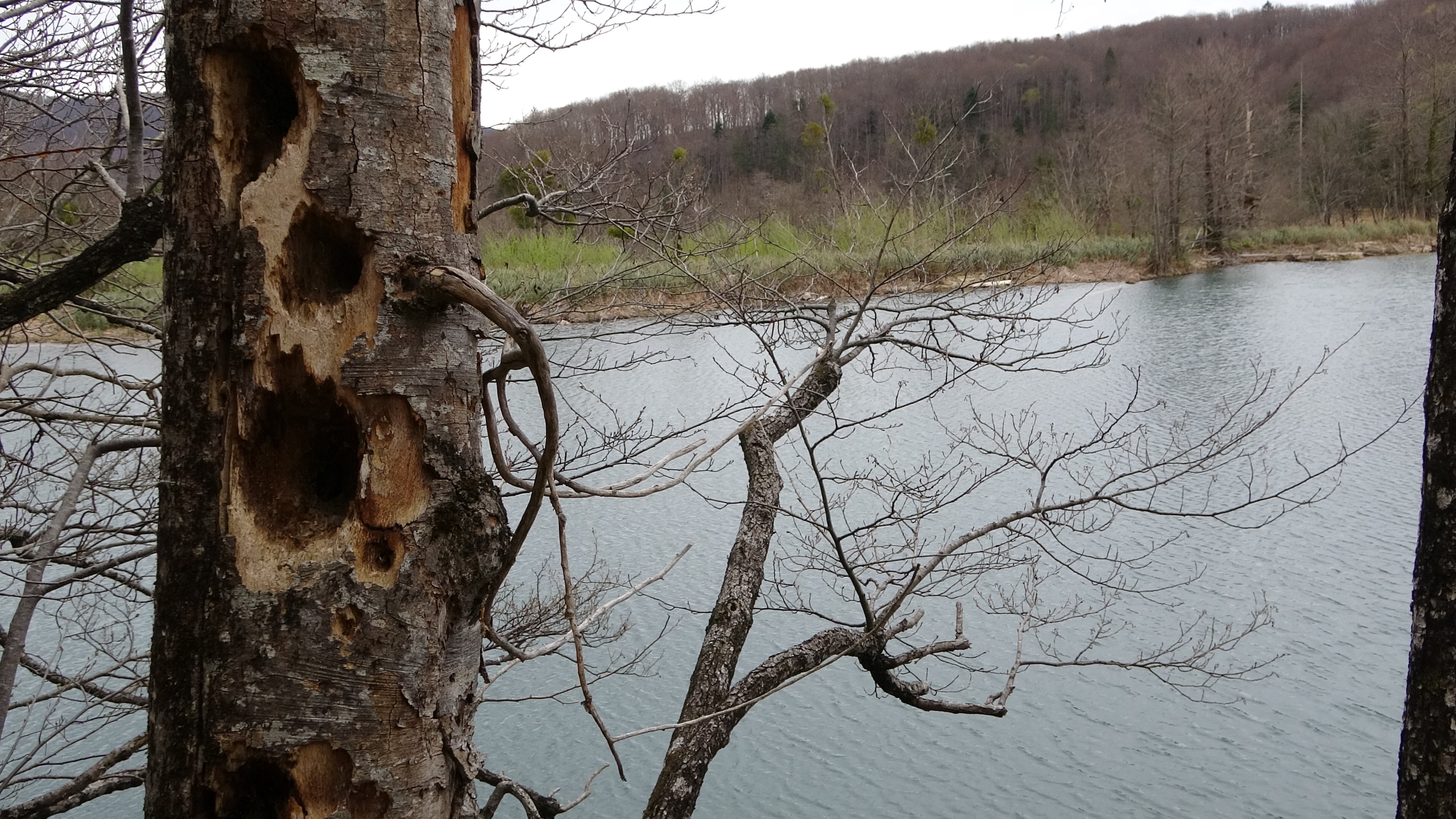 Plitvička, alles naturbelassen