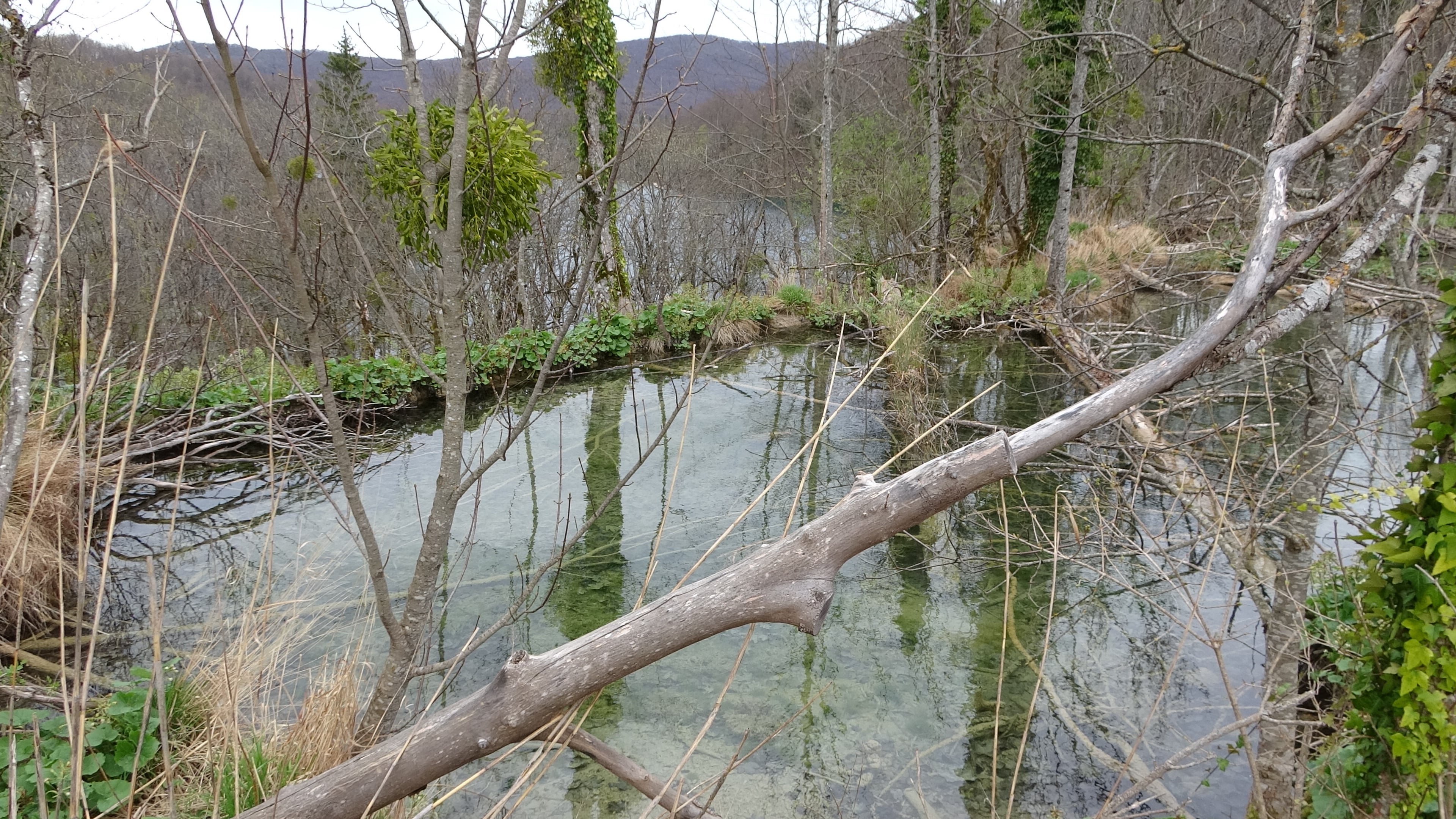 Plitvička, See-Ebenen