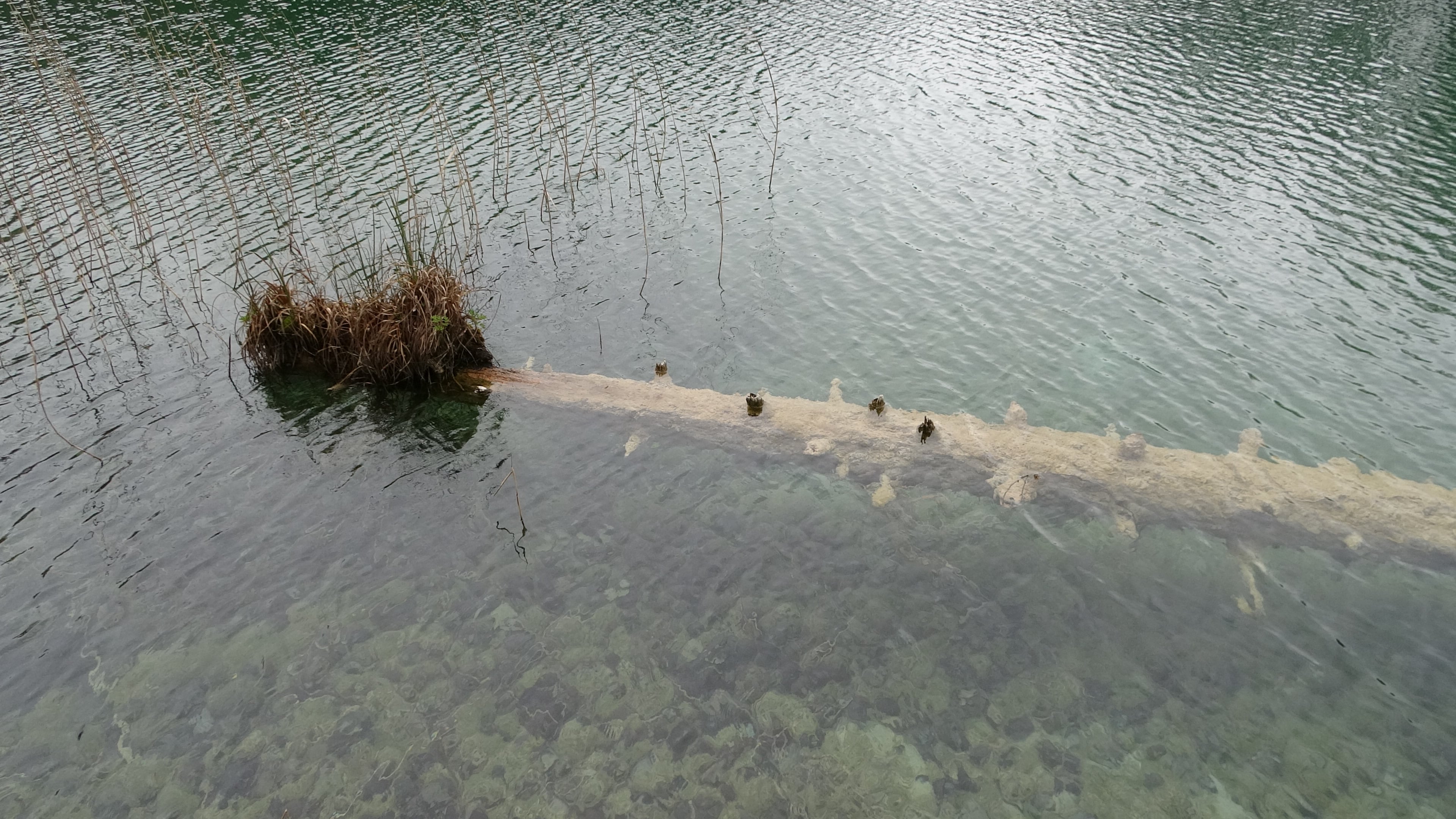 Plitvička, klares Wasser mit Ansiedelung