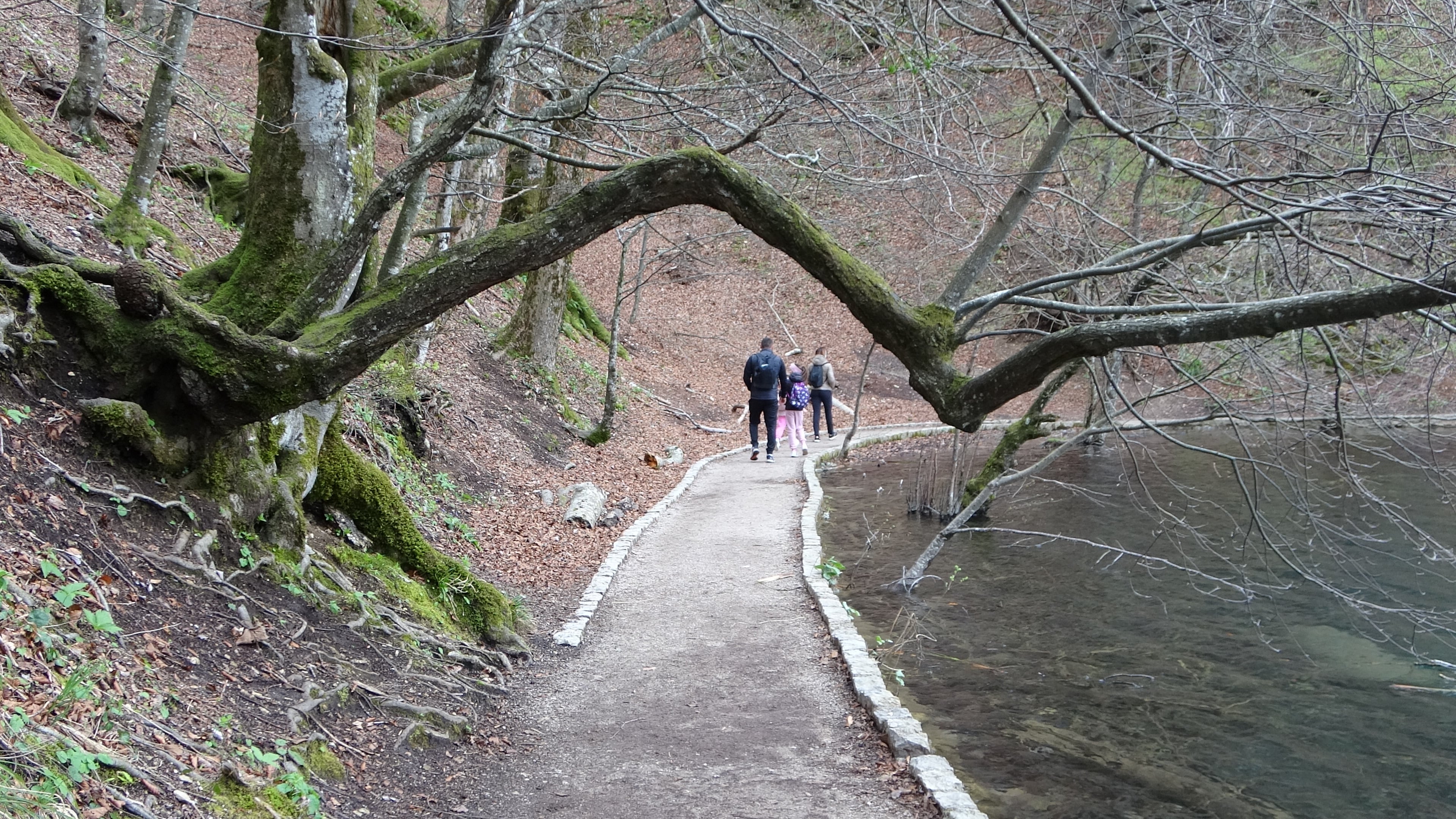Plitvička, Baum-Brücke