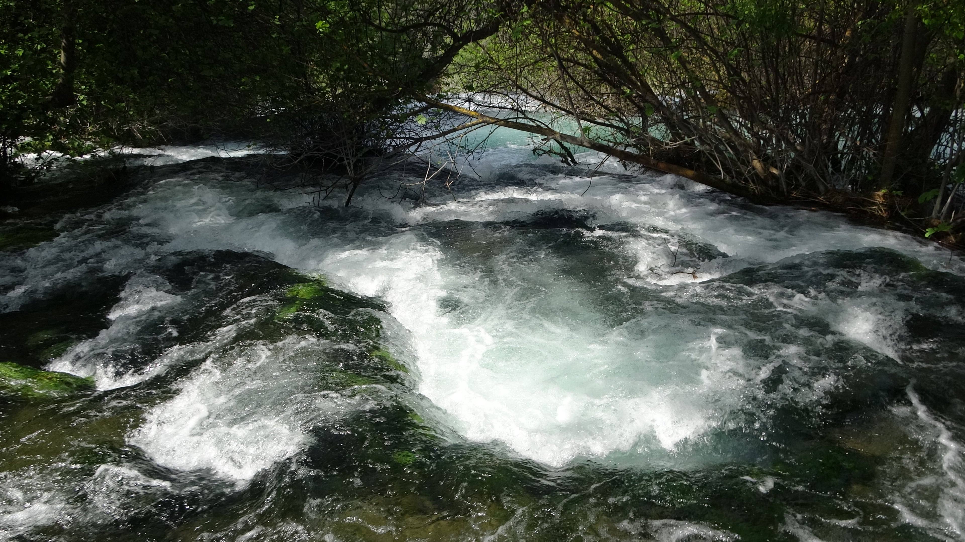 Krka, klein fängt es an ..