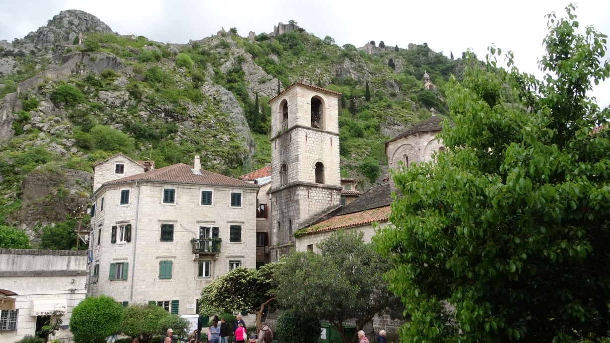 Kotor