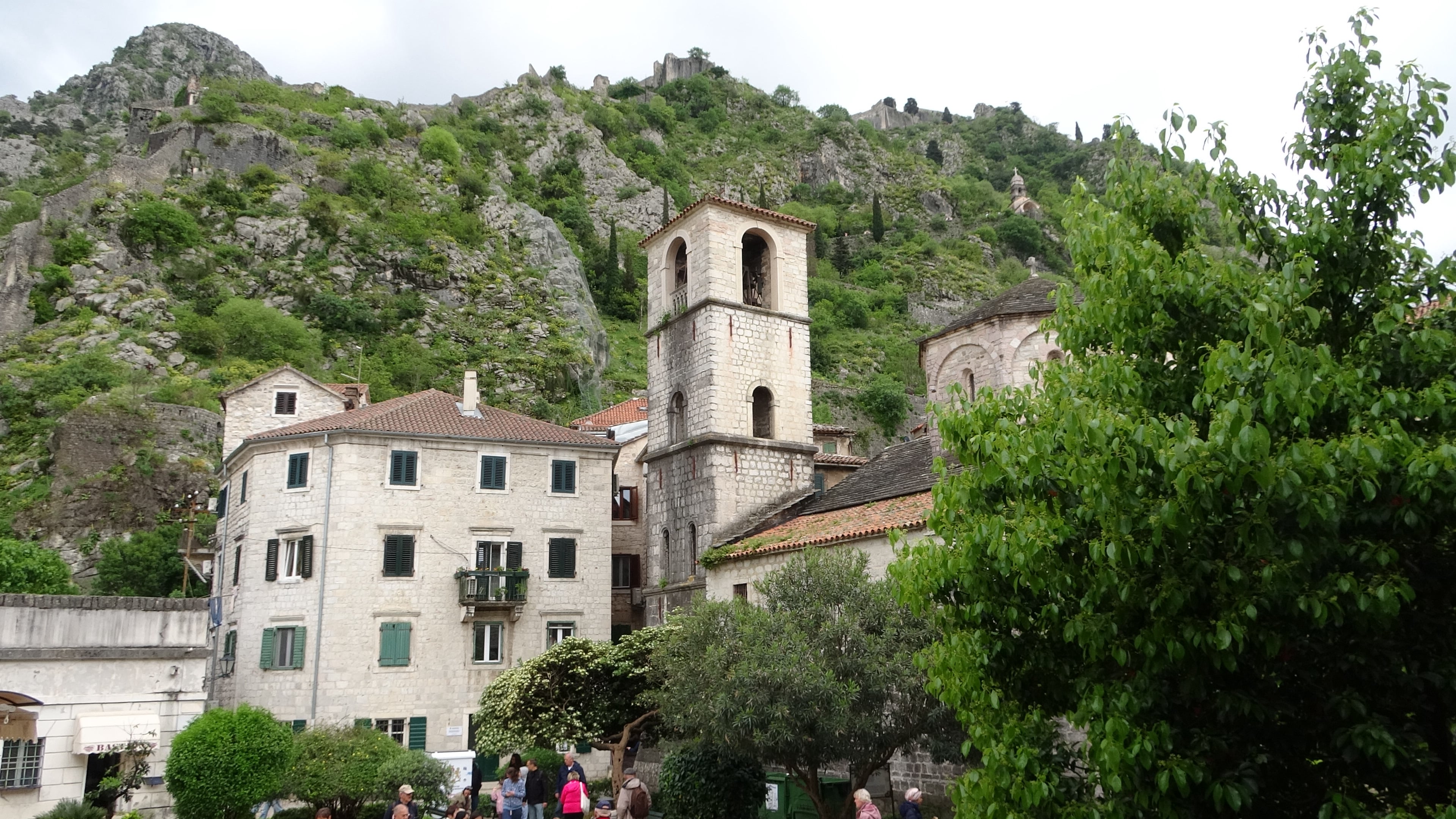 Kotor, Kathedrale