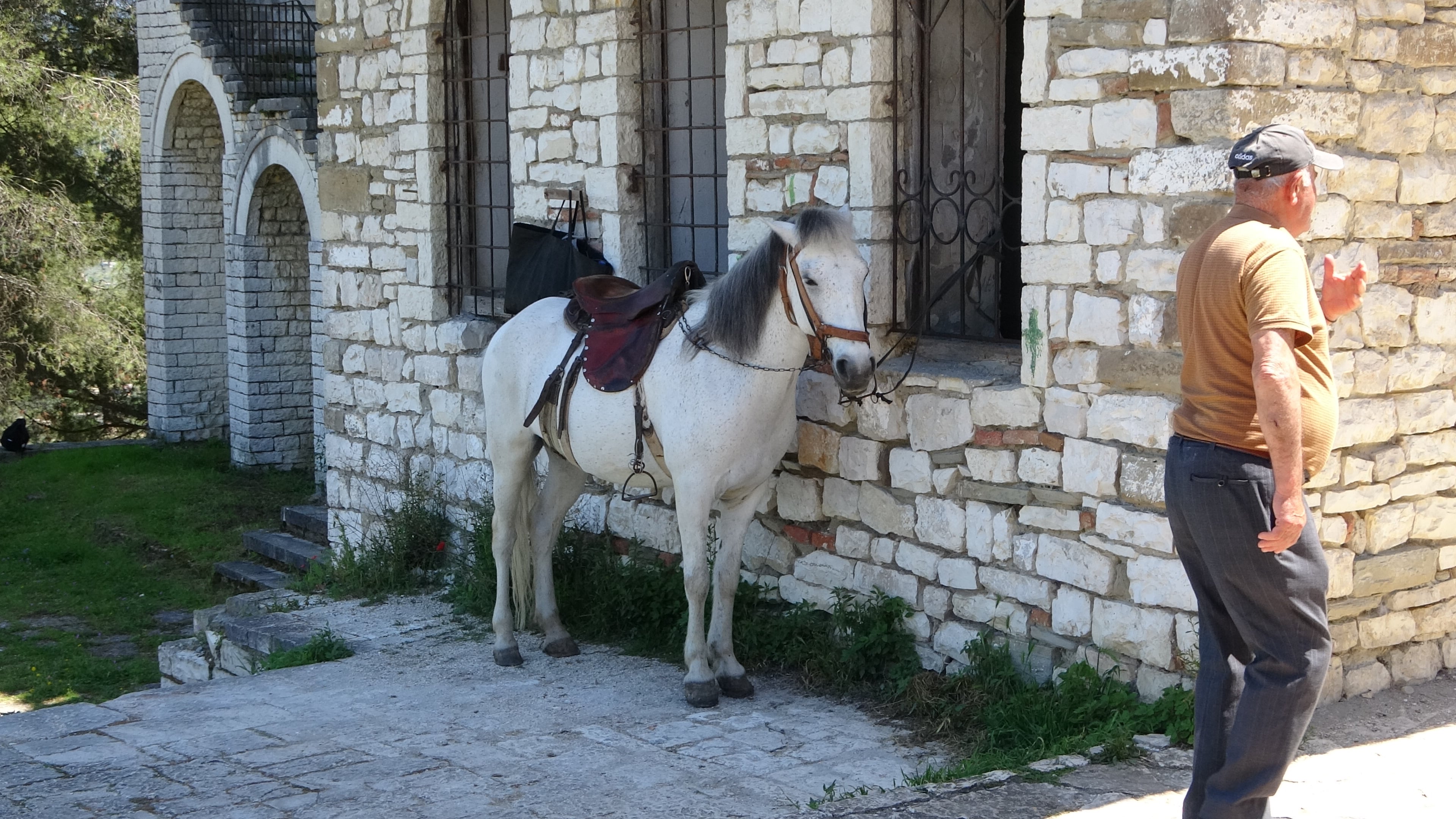 Berat, Freizeitvergnügen Reitsport