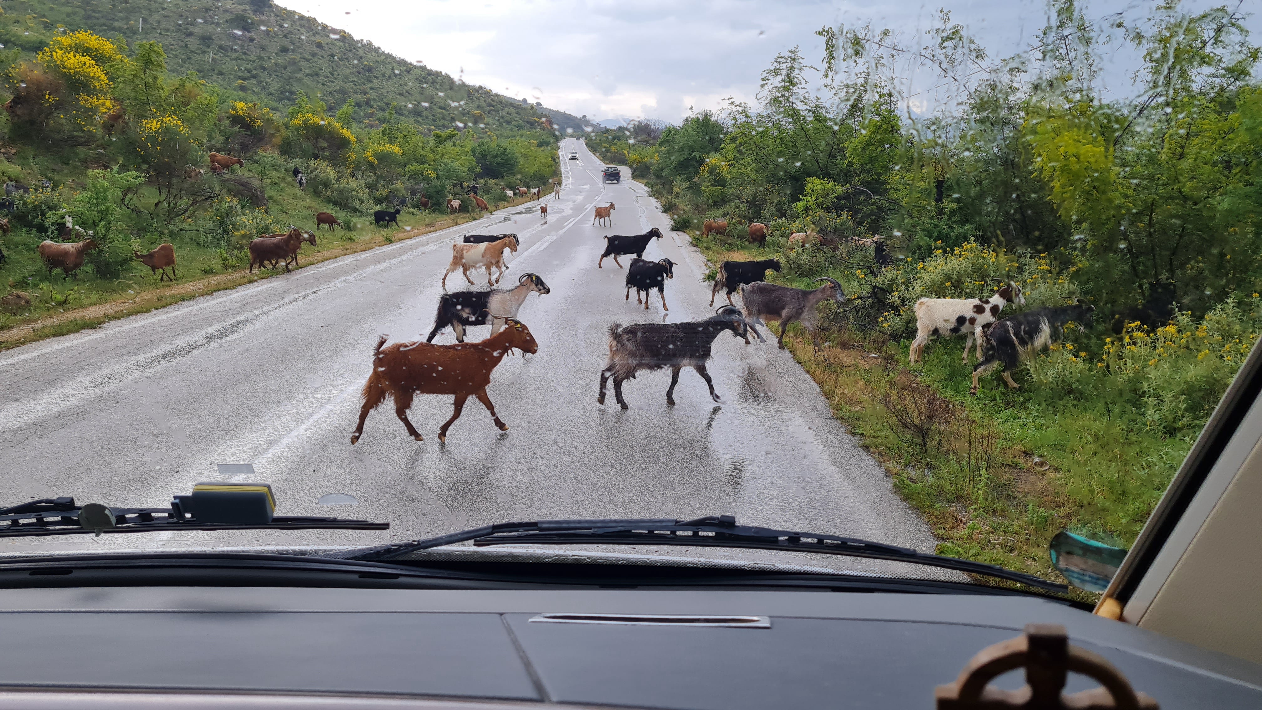 Albanien, letzte Begleiter