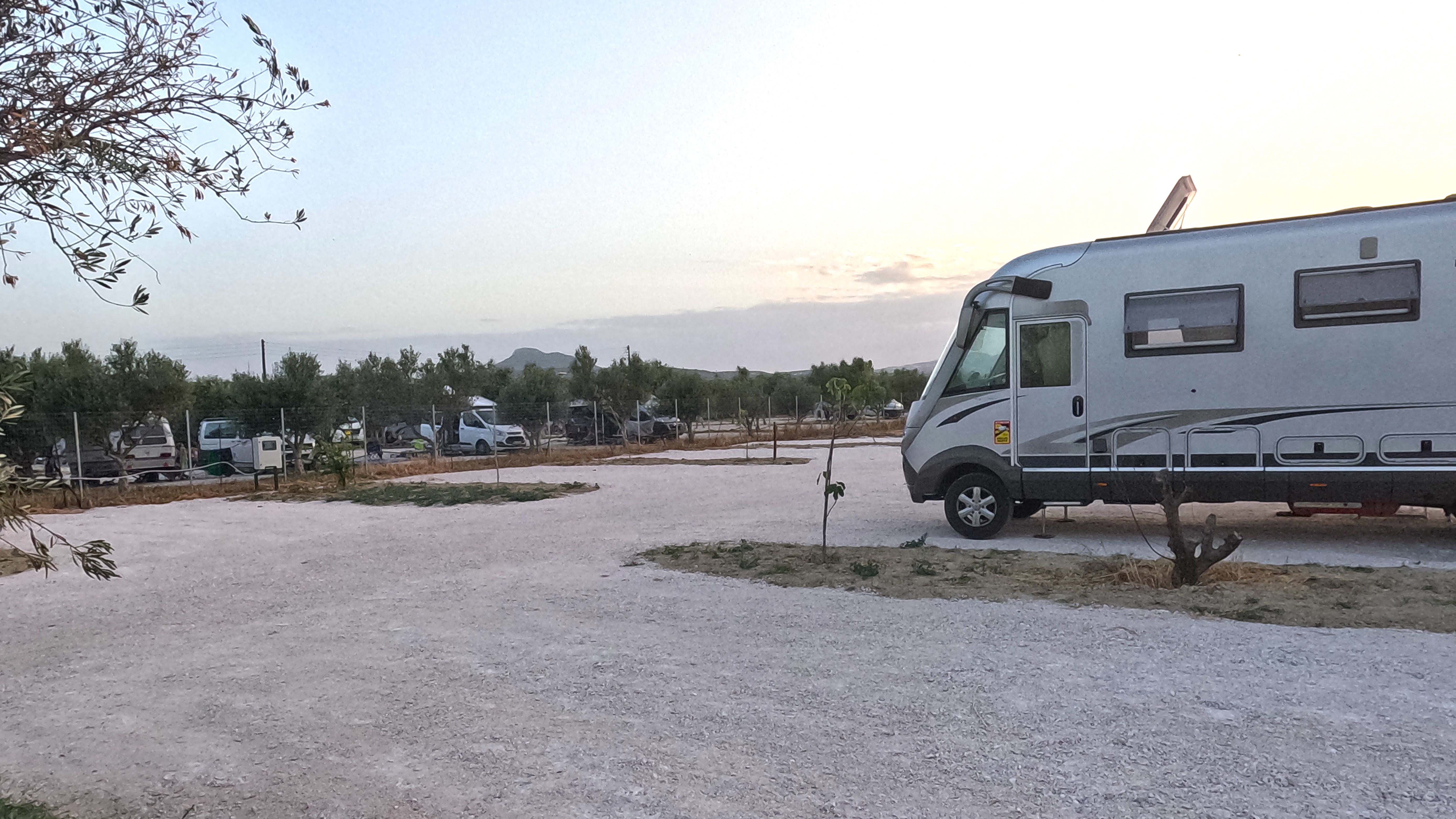 Stellplatz Olive Tree 1