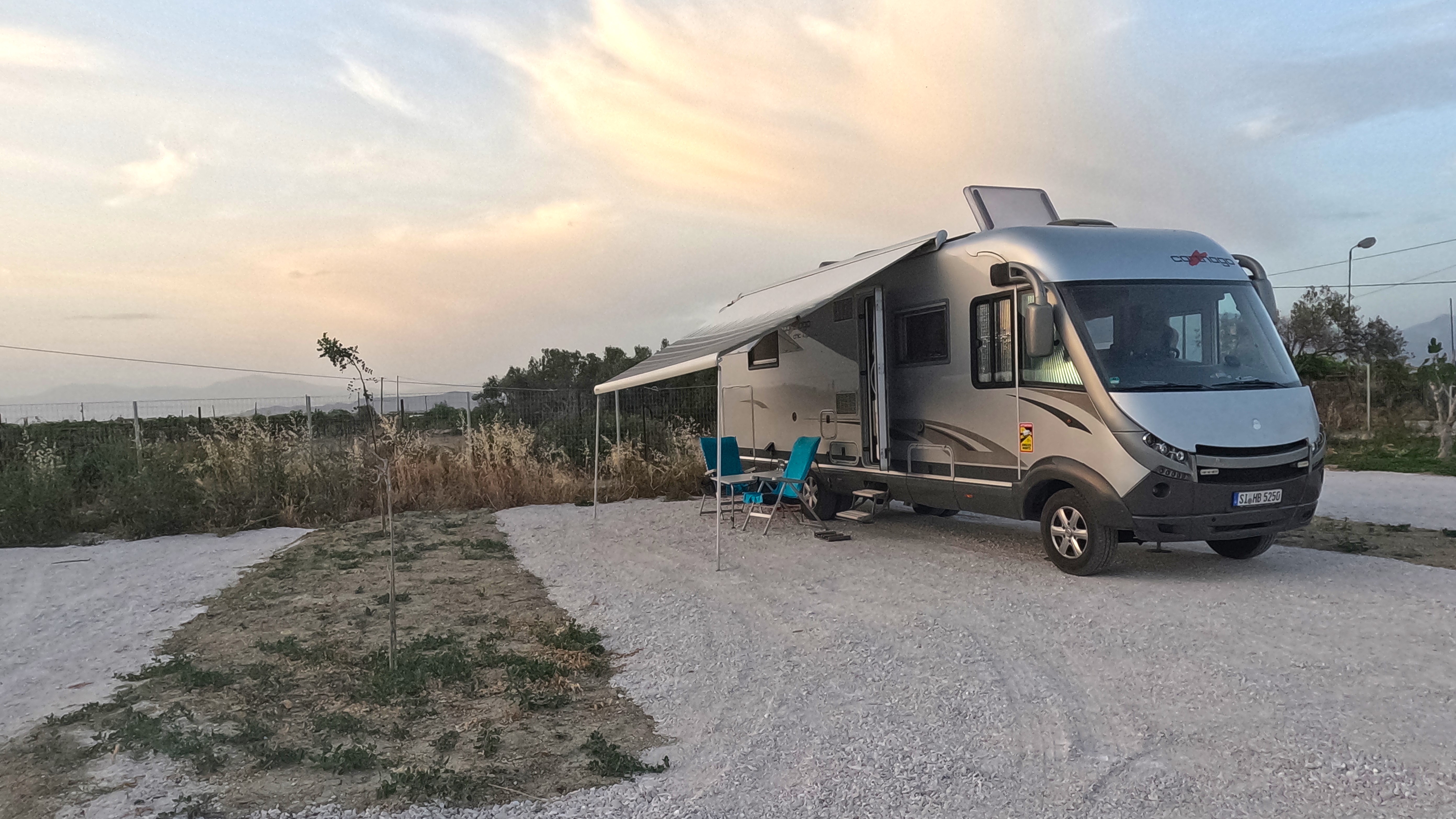 Stellplatz Olive Tree 2