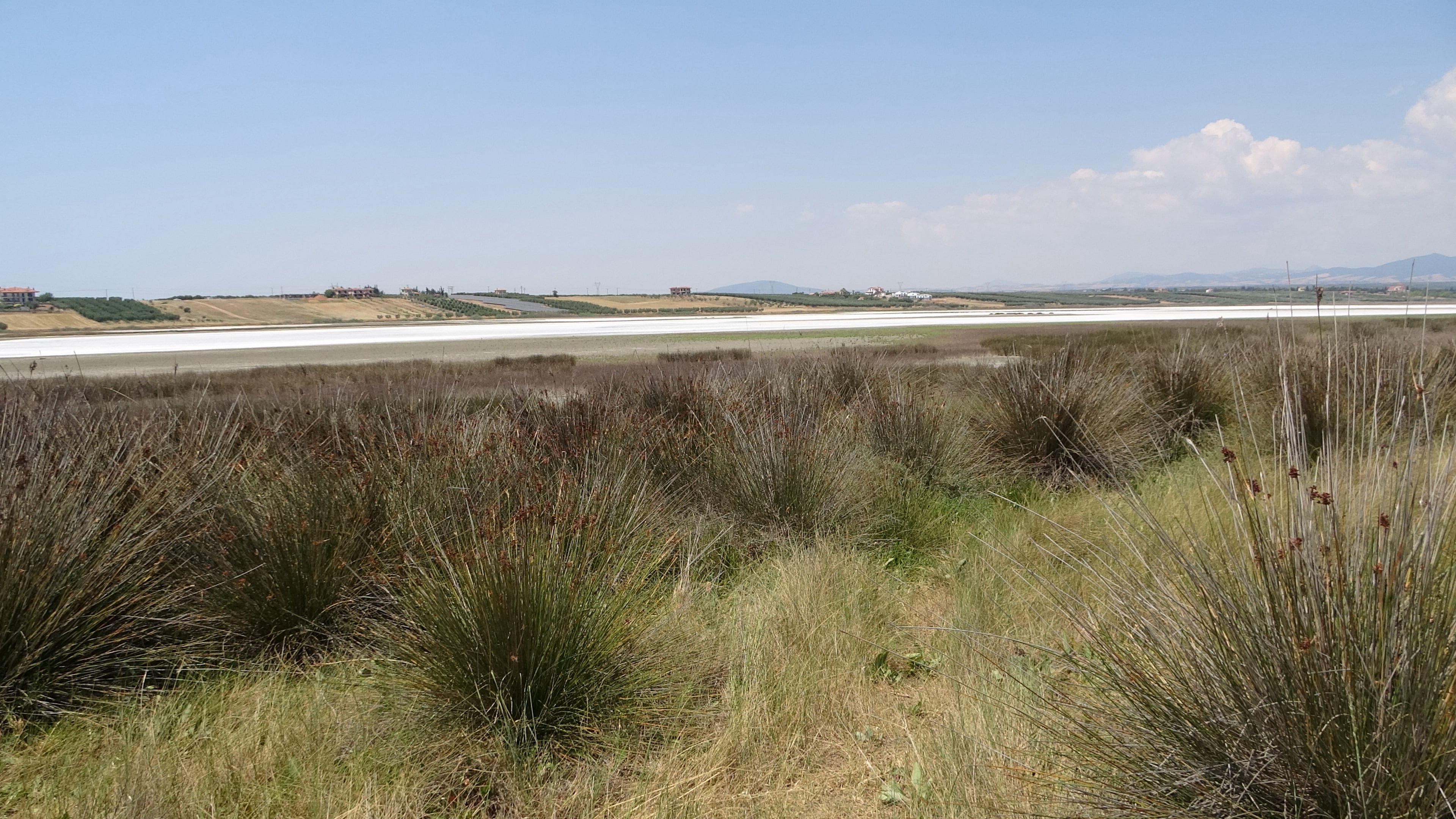 Salzlagune 1 Oststrand