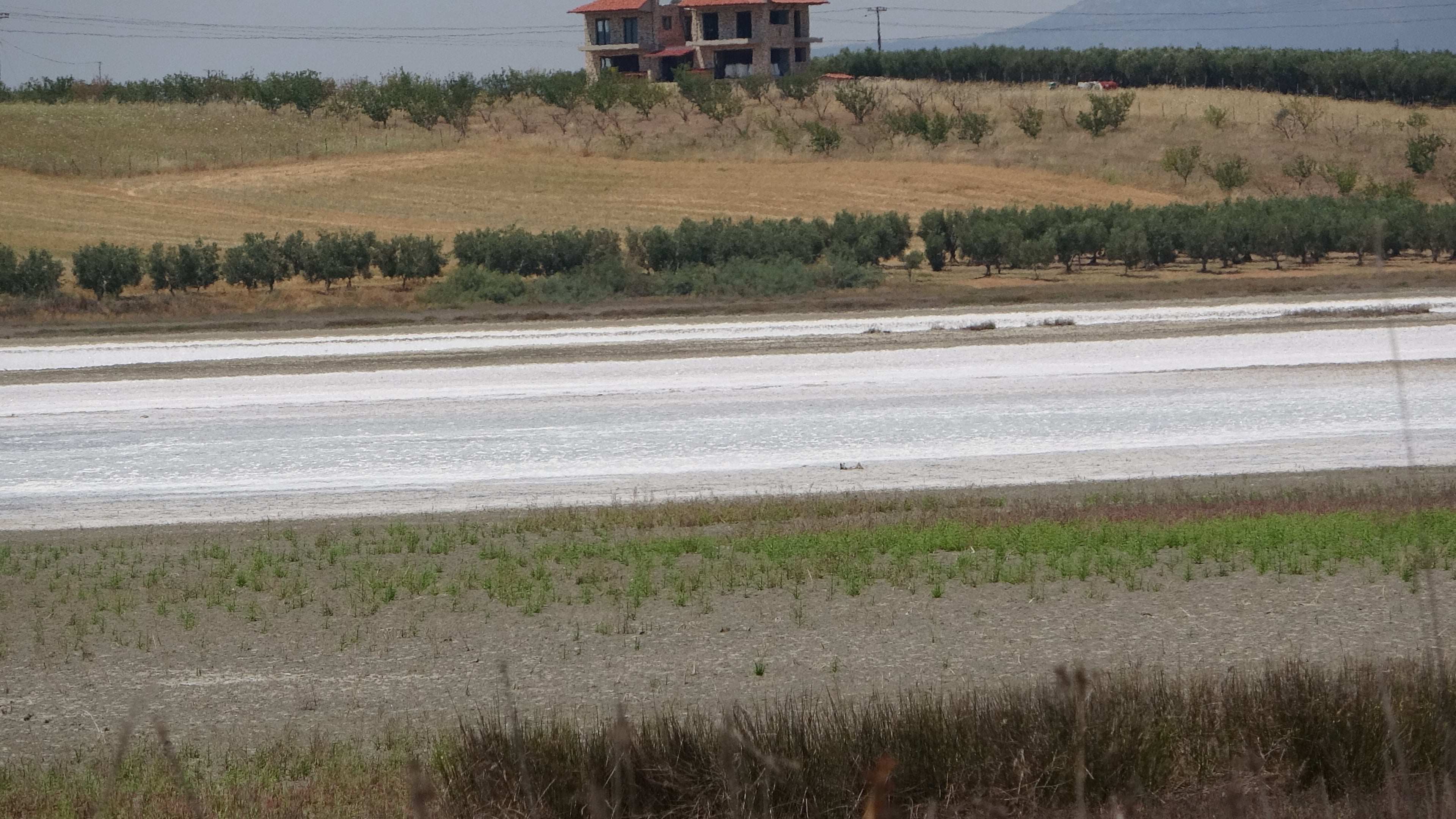 Salzlagune 2 Oststrand