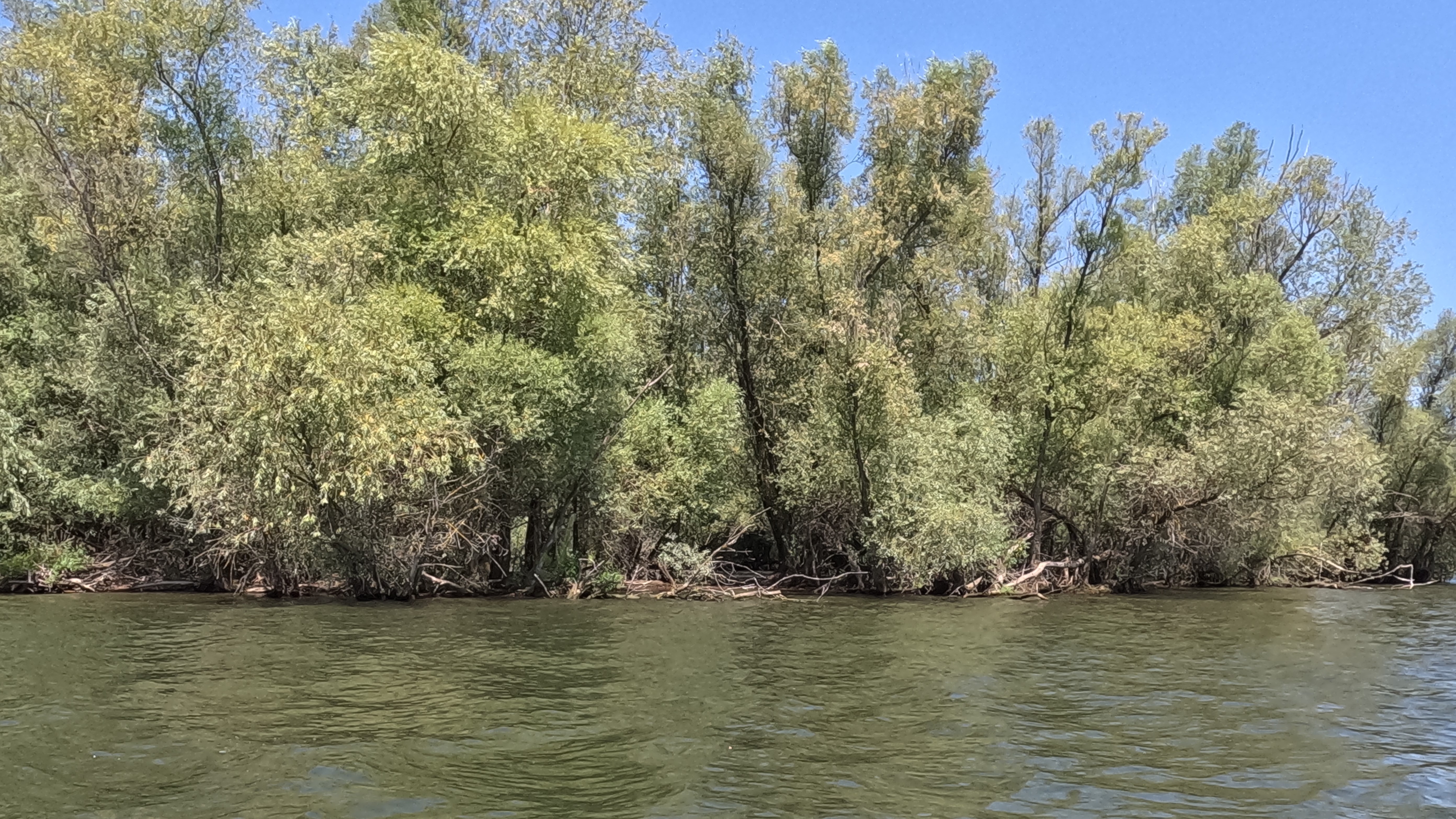 Vinné, urwüchsiges Ufer