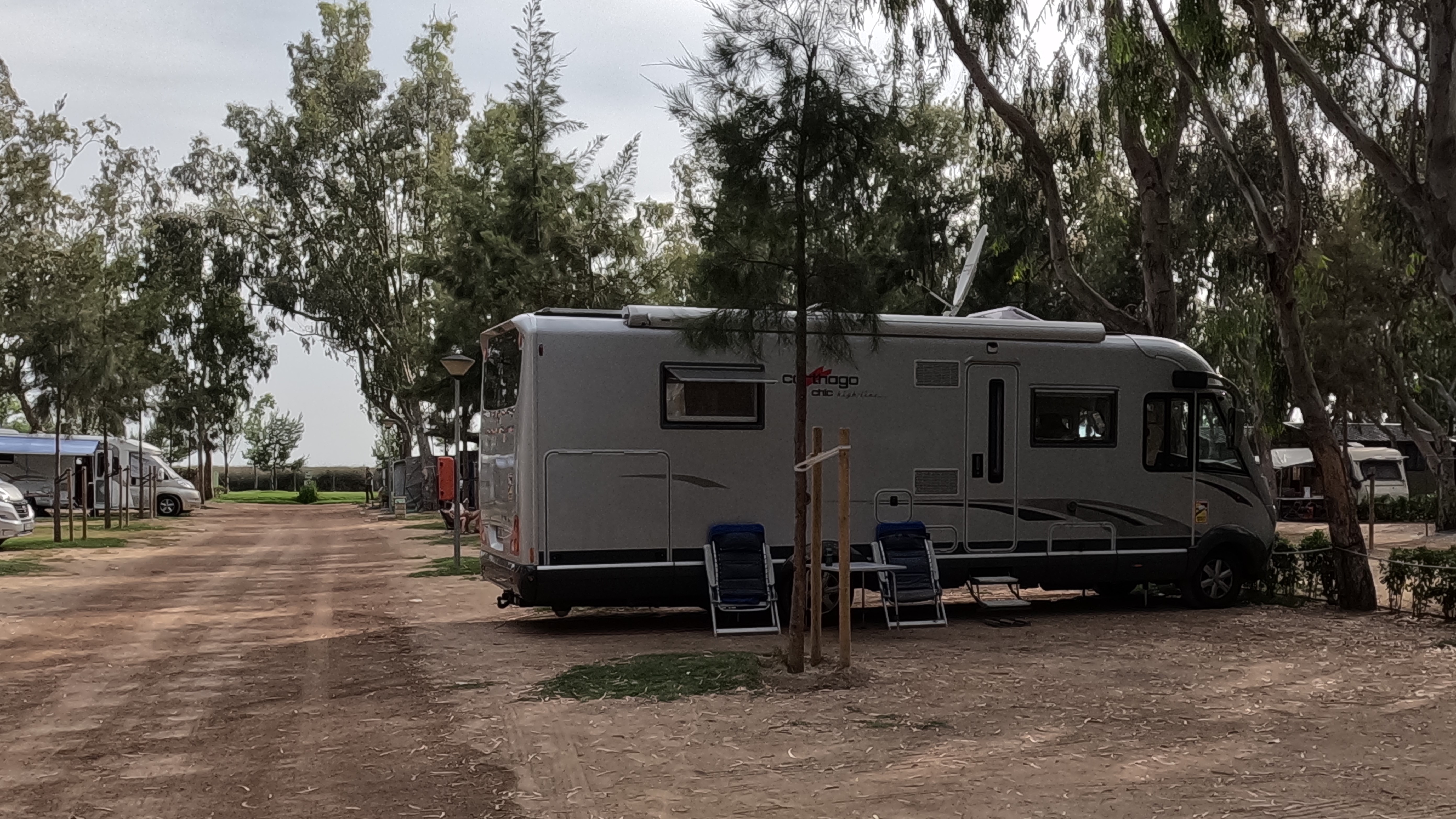 Eucalyptus, CP-Stellplatz