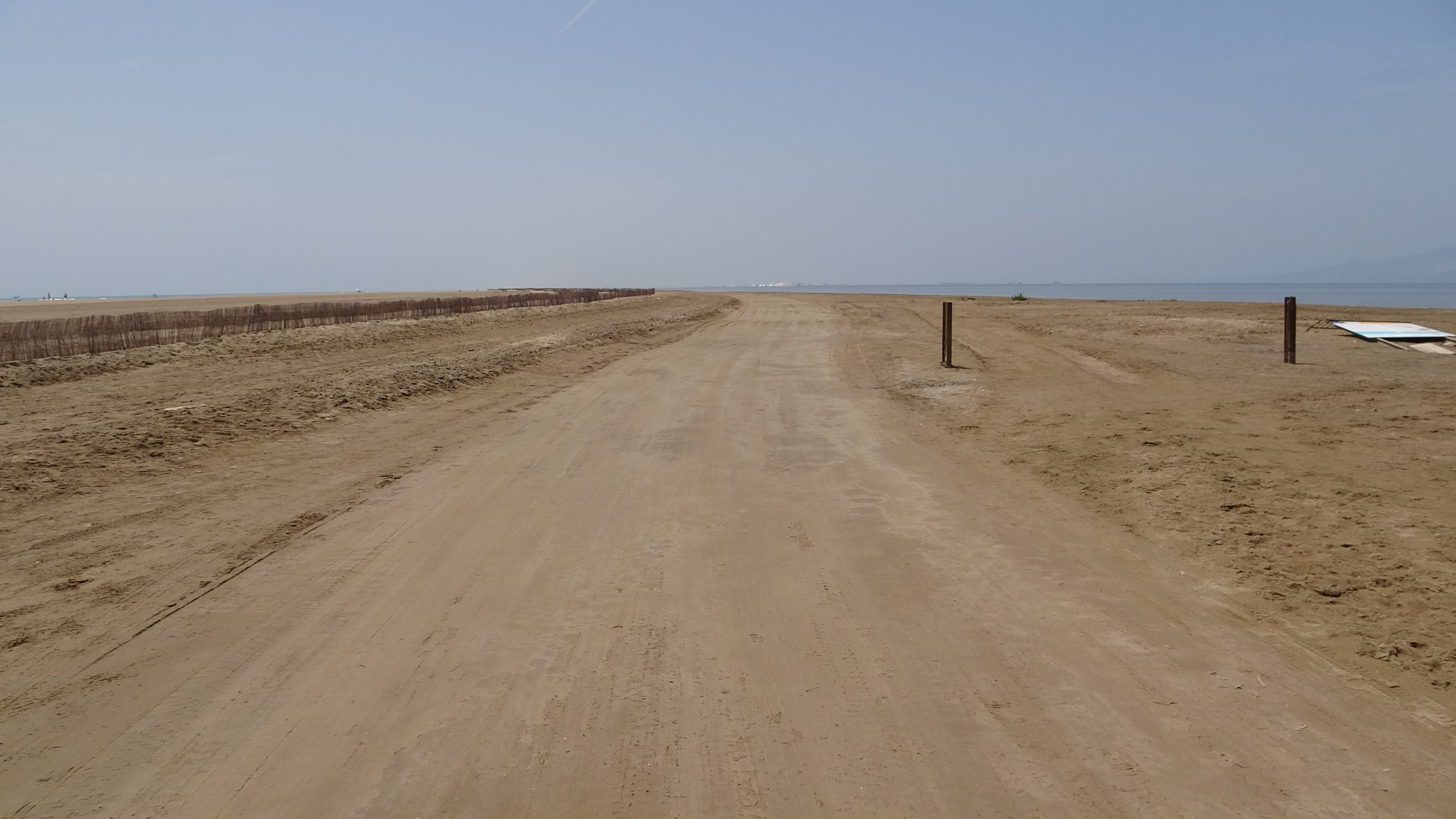 Eucalyptus, Sand-Salz-Weg