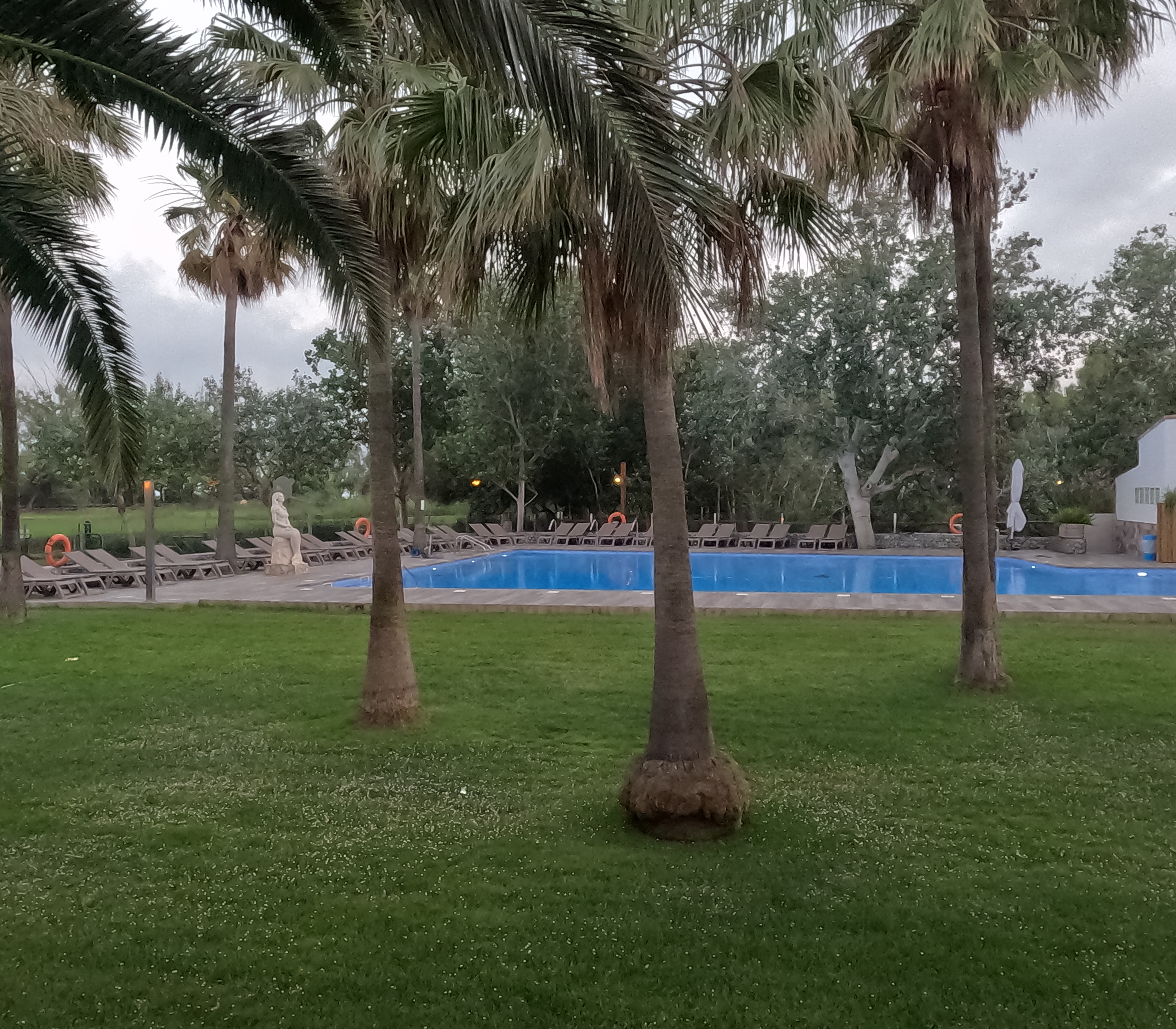 Eucalyptus, CP-Schwimmbad